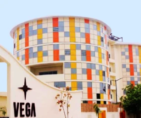 Explore the strategies behind how we positioned Vega as a brand! 