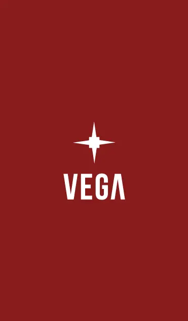 Print Design, Events, Social Media for VEGA